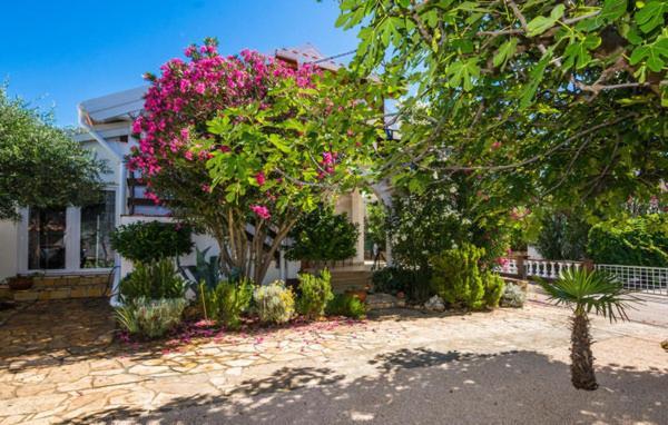 Apartment "Marija" - Otok 维尔 外观 照片